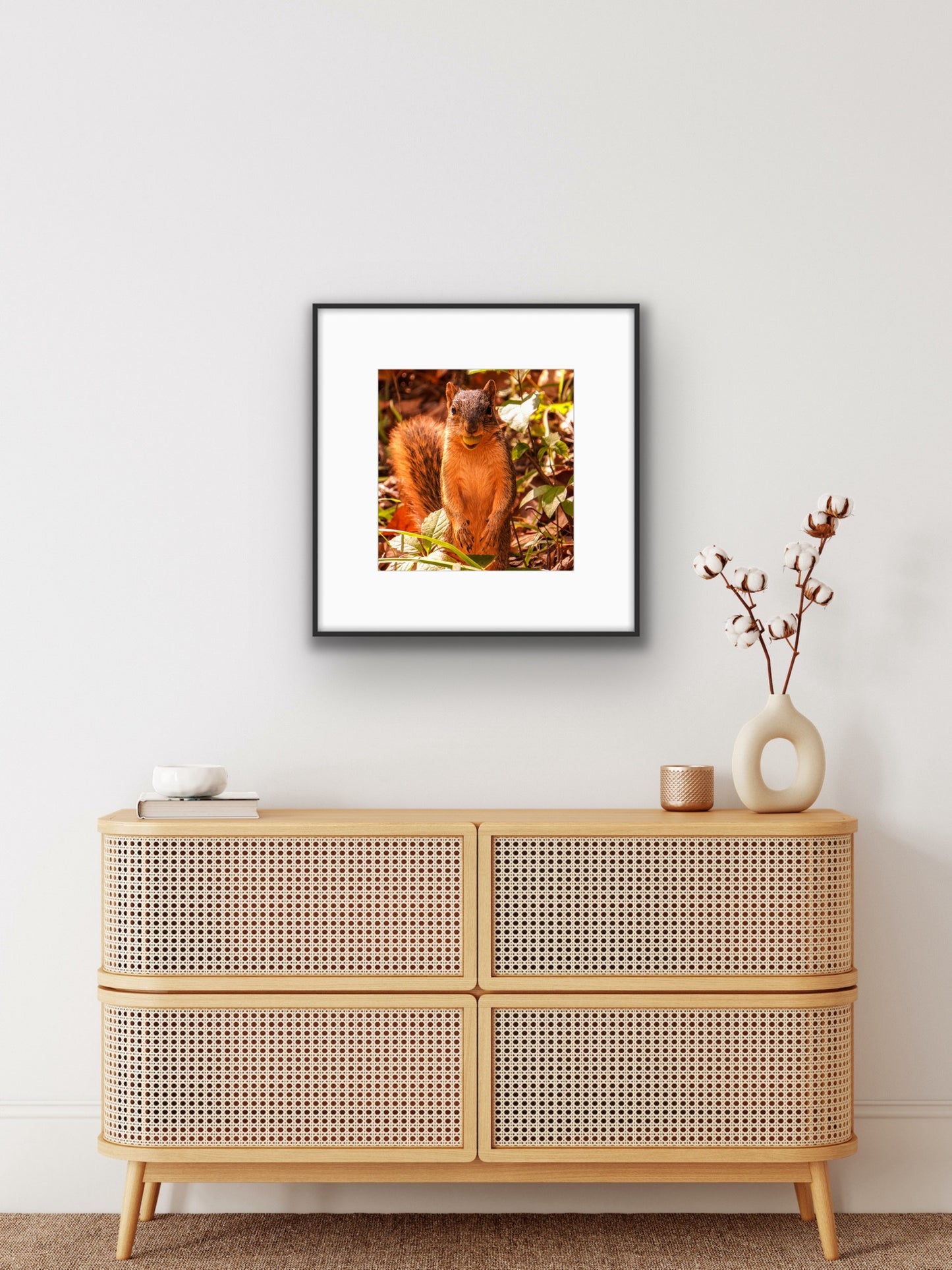 Funny Squirrel Poster Photo Print