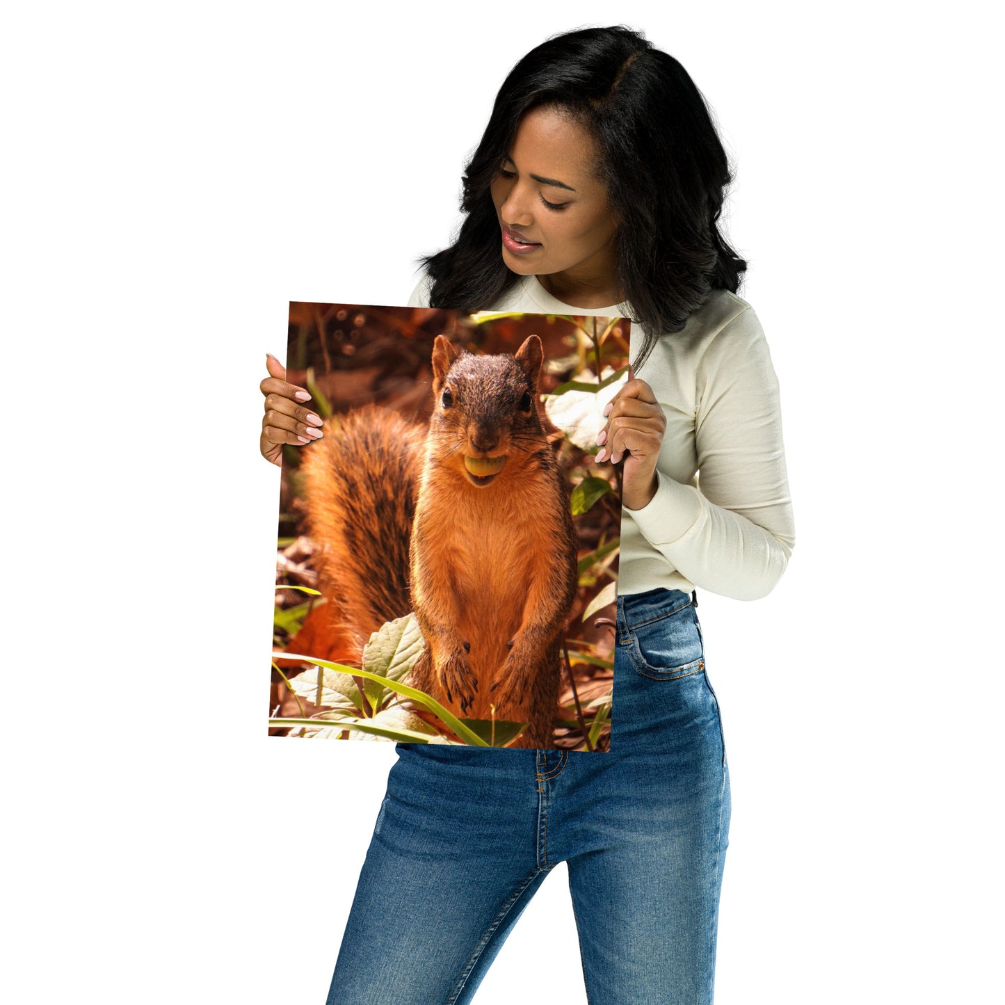Funny Squirrel Poster Photo Print