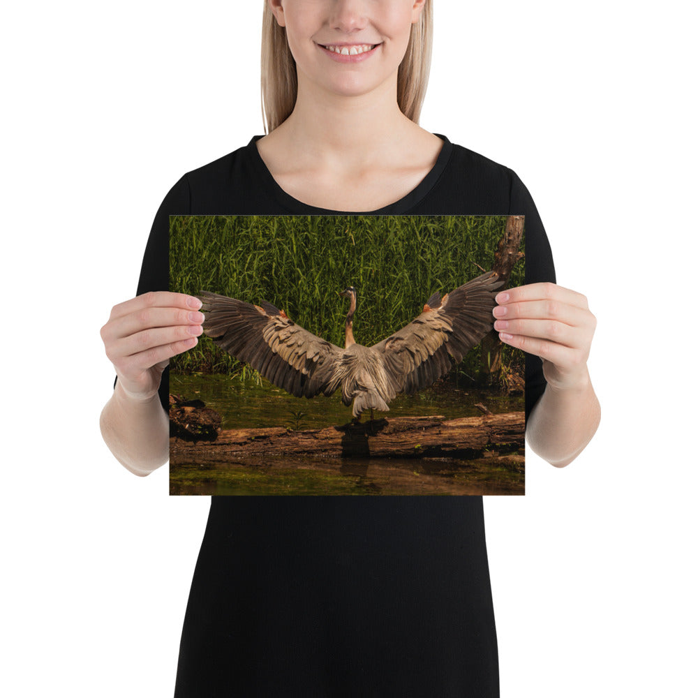 Heron Photo Poster Print