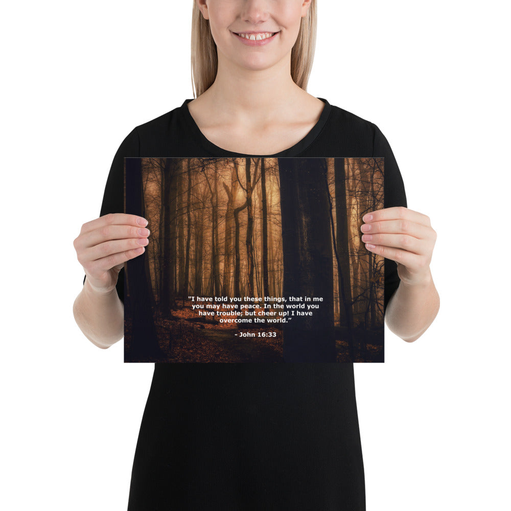 Jesus Bible Verse Photo Wall Decor Art Print John 16:33 Image