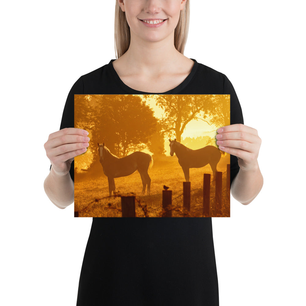 Amish Country Photo Horses Ohio Farm Image Berlin Ohio Picture