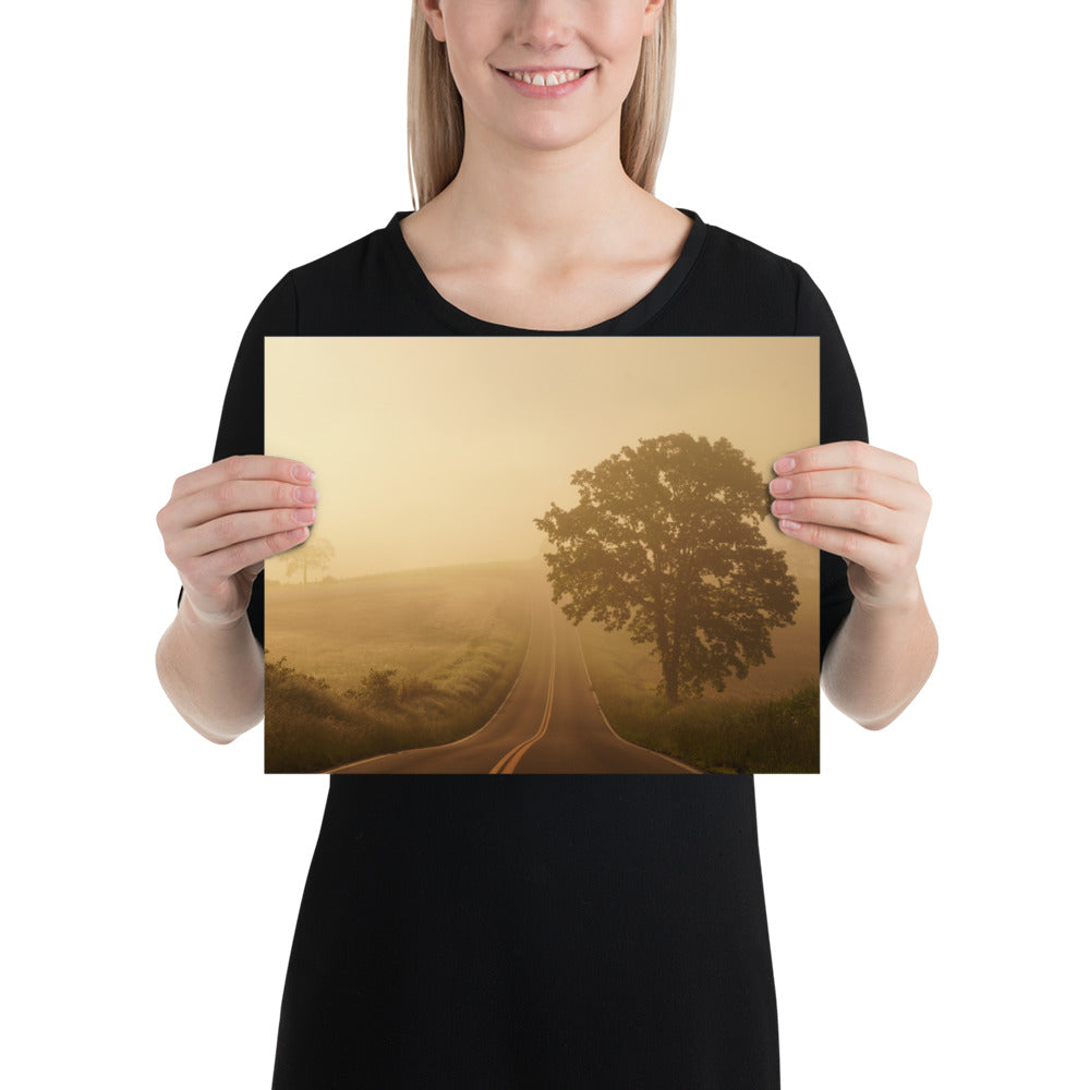 Amish Photo Ohio Trees and Hills Sunrise Image