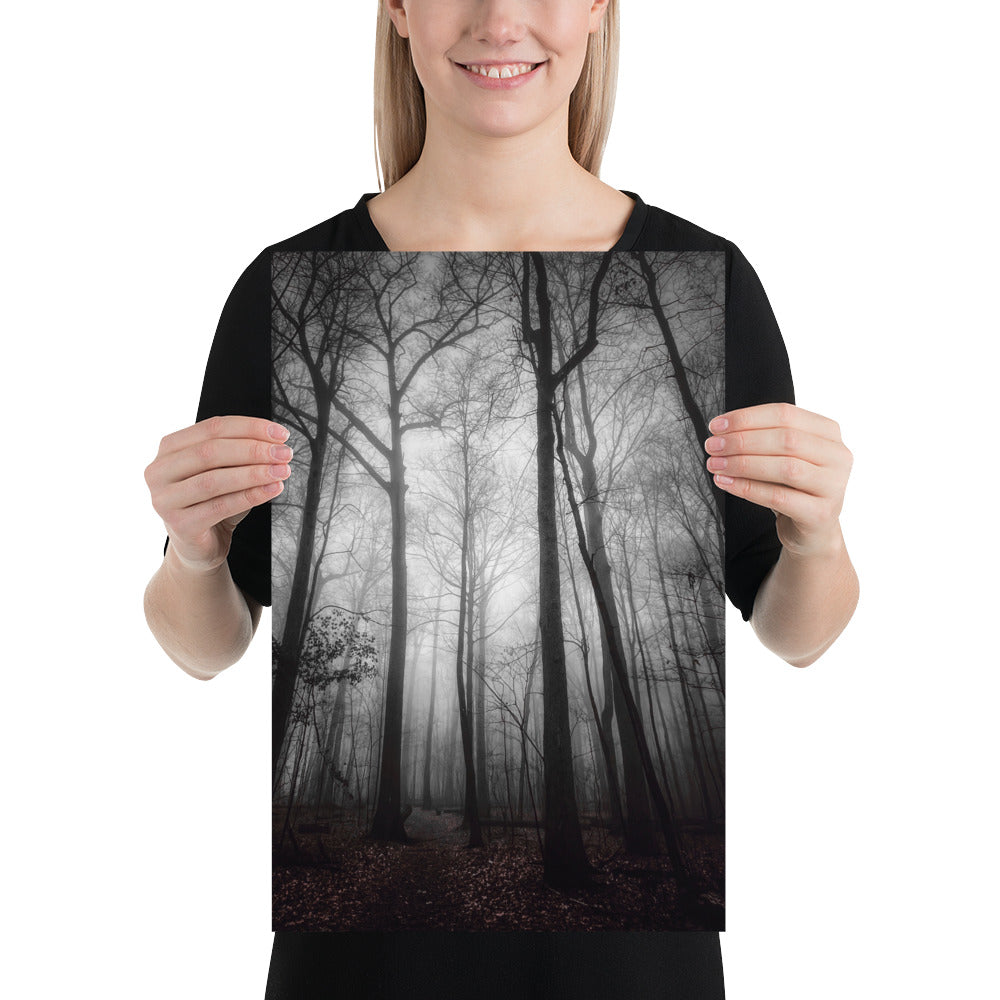 Forest Tree Fog Photo Print Poster Hinckley Ohio Whipp's Ledges Black and White