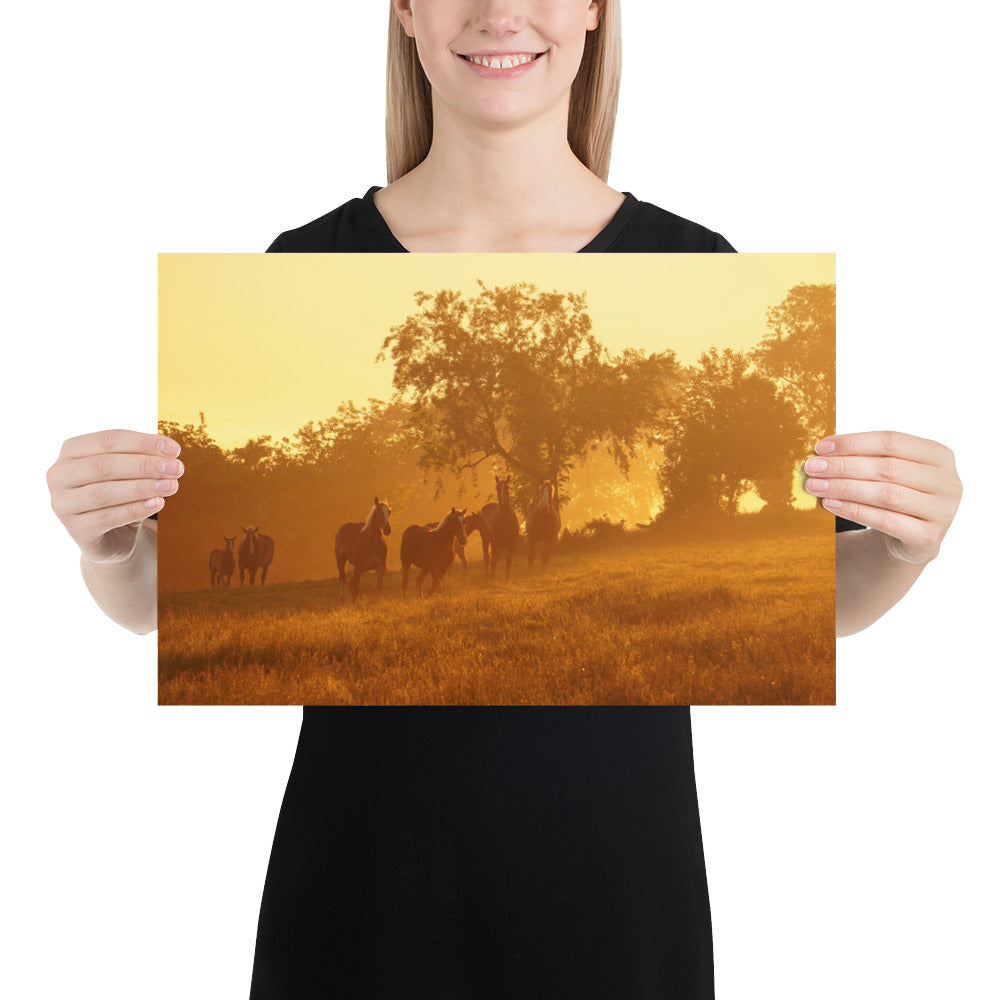 Amish Photos Ohio Farm Horses Sunrise Image