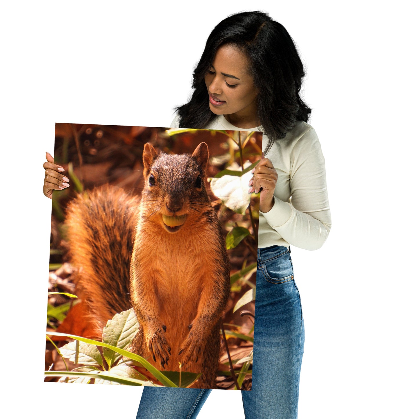 Funny Squirrel Poster Photo Print
