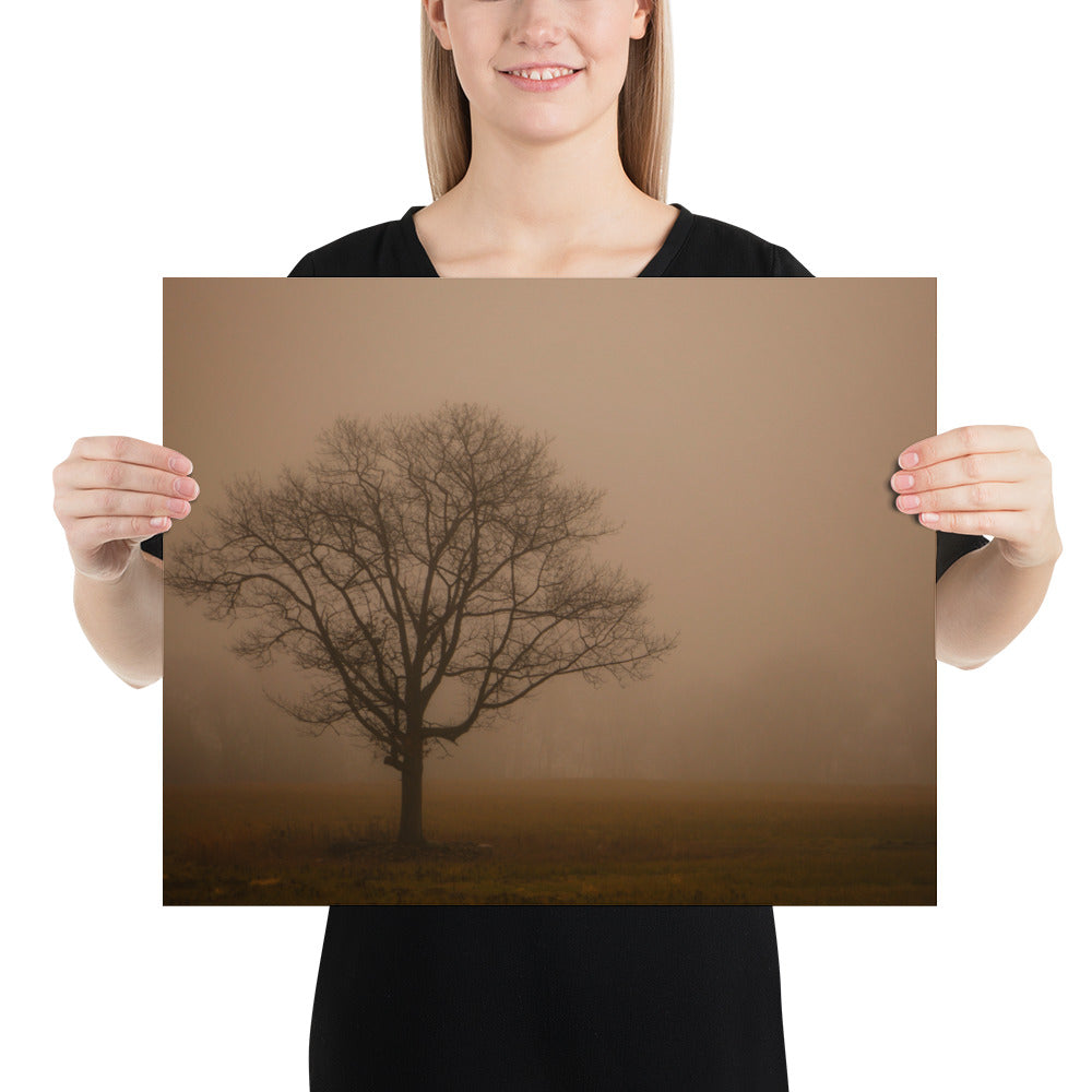 Foggy Photo of Tree in Cleveland Metroparks - Hinckley Ohio Print Gift