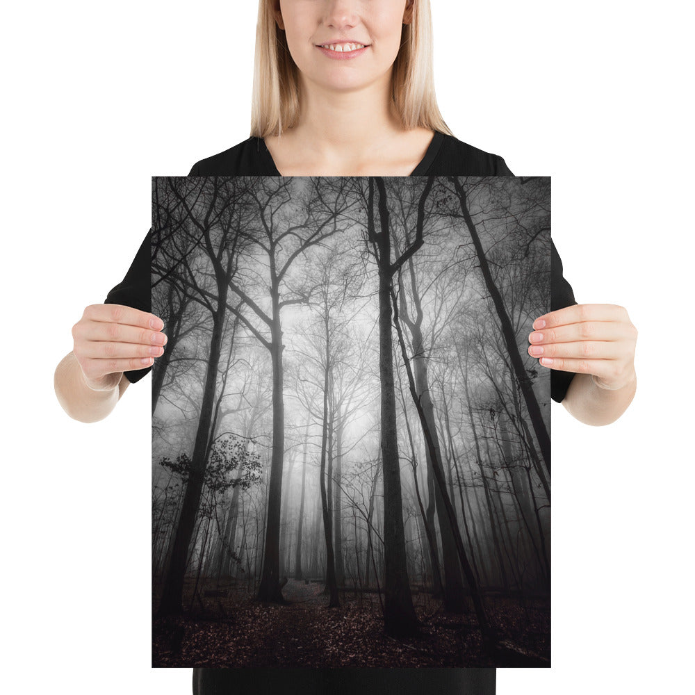 Forest Tree Fog Photo Print Poster Hinckley Ohio Whipp's Ledges Black and White