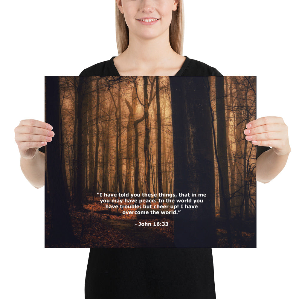Jesus Bible Verse Photo Wall Decor Art Print John 16:33 Image