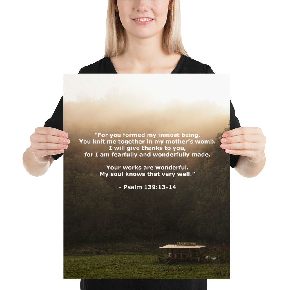 Wonderfully Made Bible Psalm 139 Verse Photo Print Wall Art Scripture Image