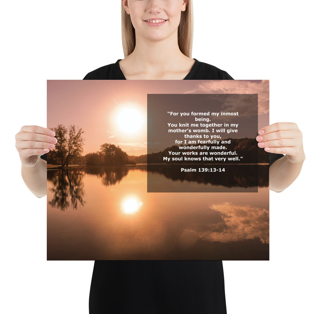 Wonderfully Made Photo Print Bible Psalm 139 Verse Wall Art Scripture Image