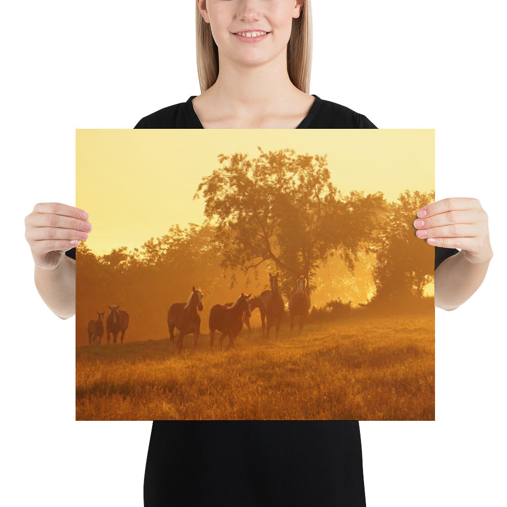 Amish Photos Ohio Farm Horses Sunrise Image