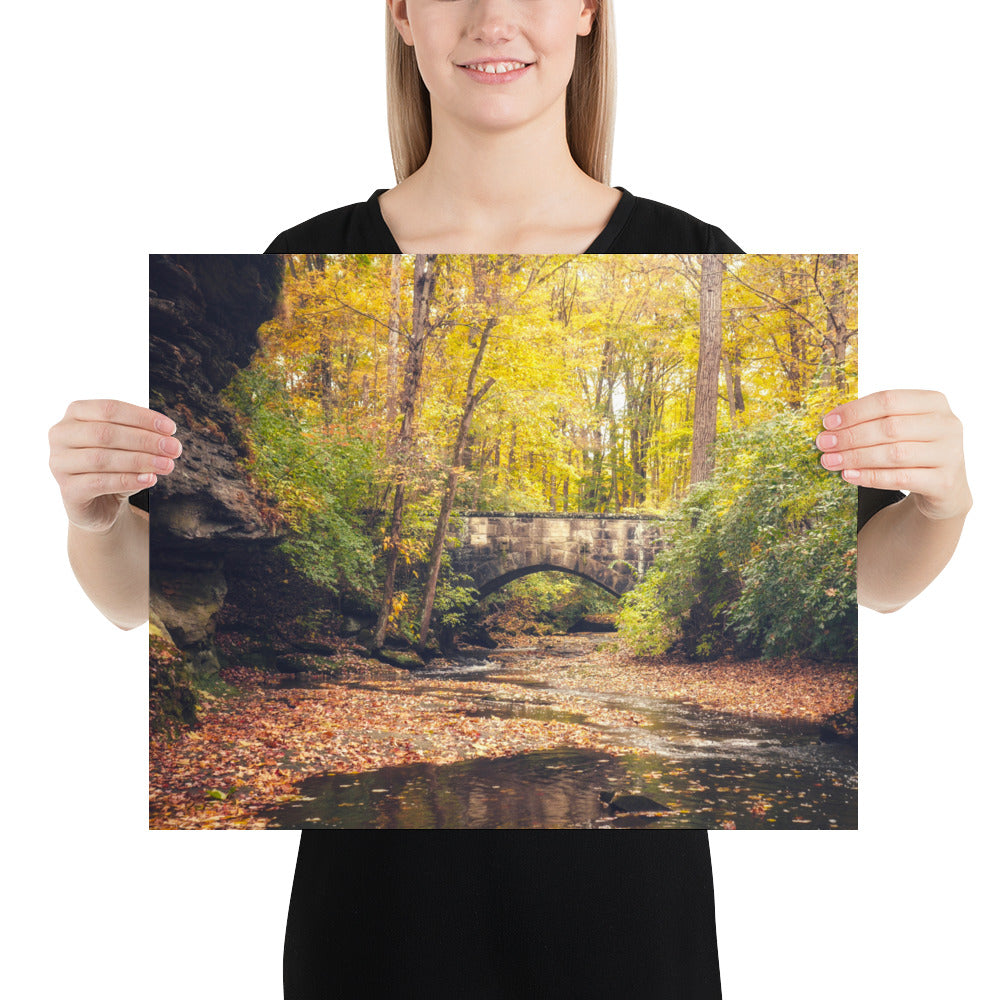 Fall Colors City of Olmsted Falls Ohio Park Photo (Autumn)