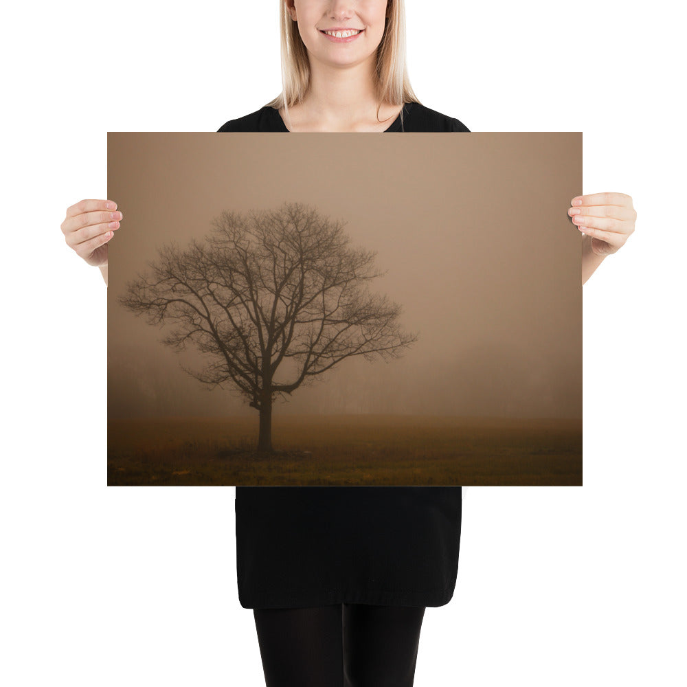 Foggy Photo of Tree in Cleveland Metroparks - Hinckley Ohio Print Gift