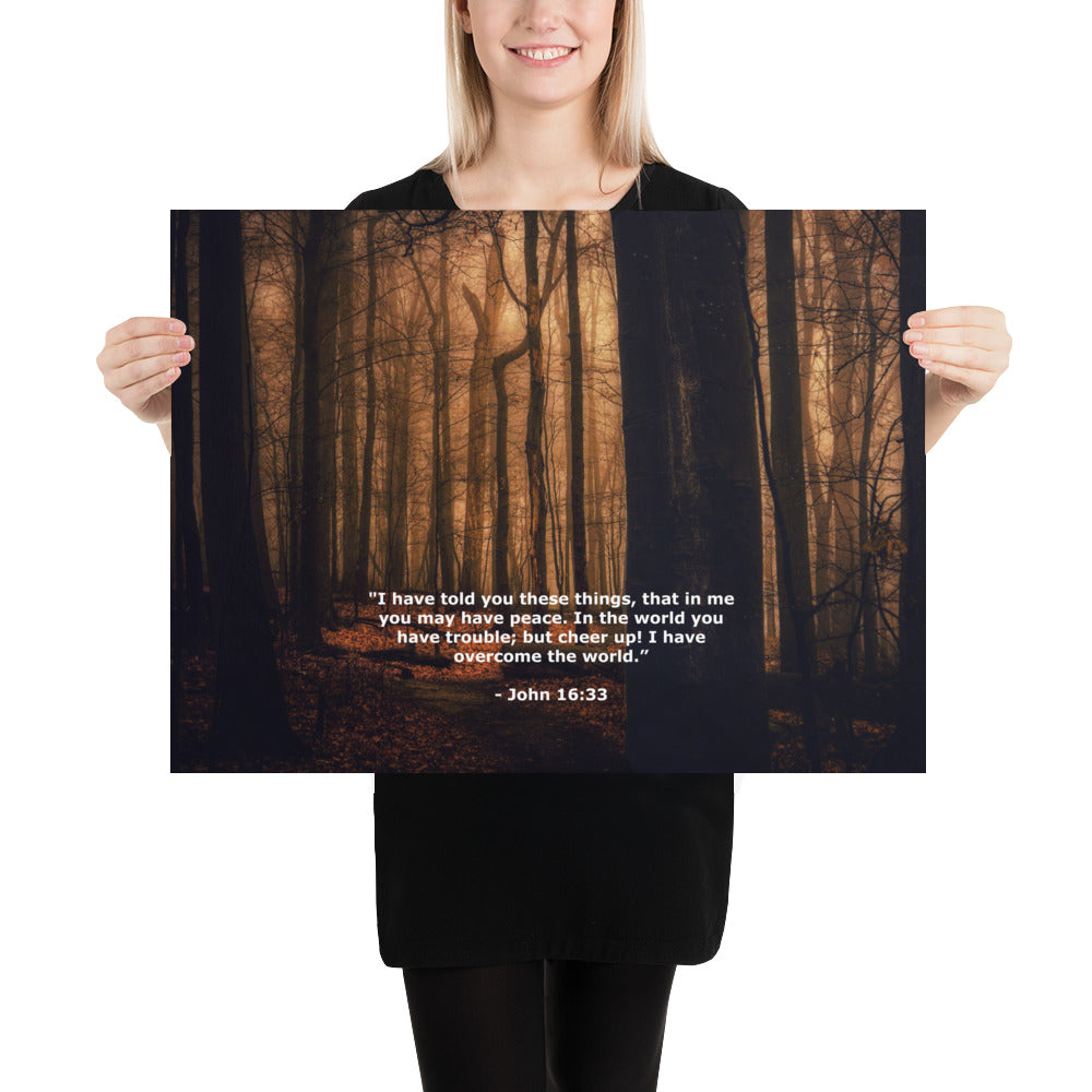 Jesus Bible Verse Photo Wall Decor Art Print John 16:33 Image