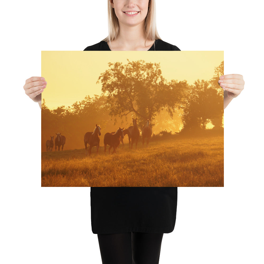 Amish Photos Ohio Farm Horses Sunrise Image