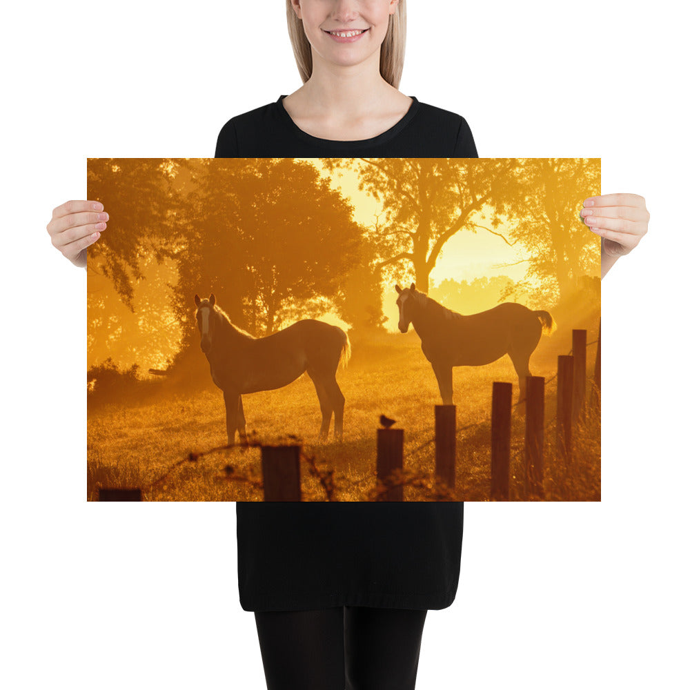 Amish Country Photo Horses Ohio Farm Image Berlin Ohio Picture