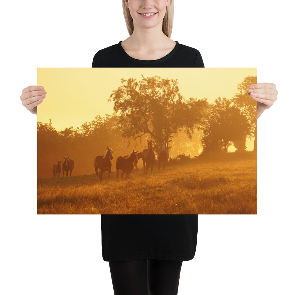 Amish Photos Ohio Farm Horses Sunrise Image