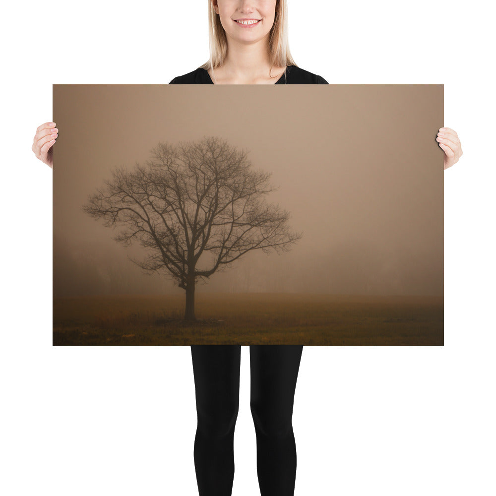 Foggy Photo of Tree in Cleveland Metroparks - Hinckley Ohio Print Gift
