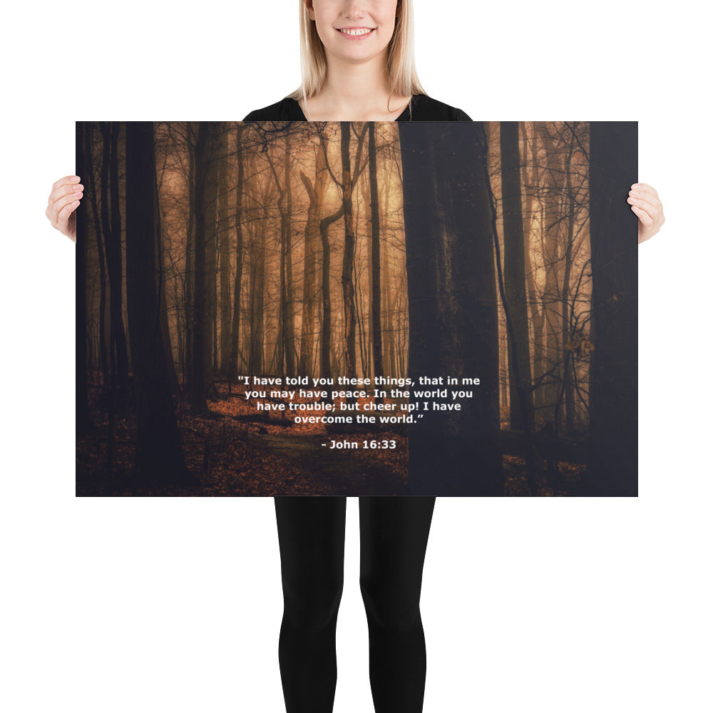 Jesus Bible Verse Photo Wall Decor Art Print John 16:33 Image