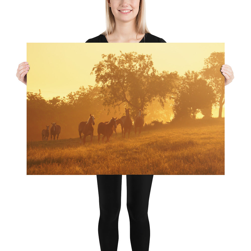 Amish Photos Ohio Farm Horses Sunrise Image