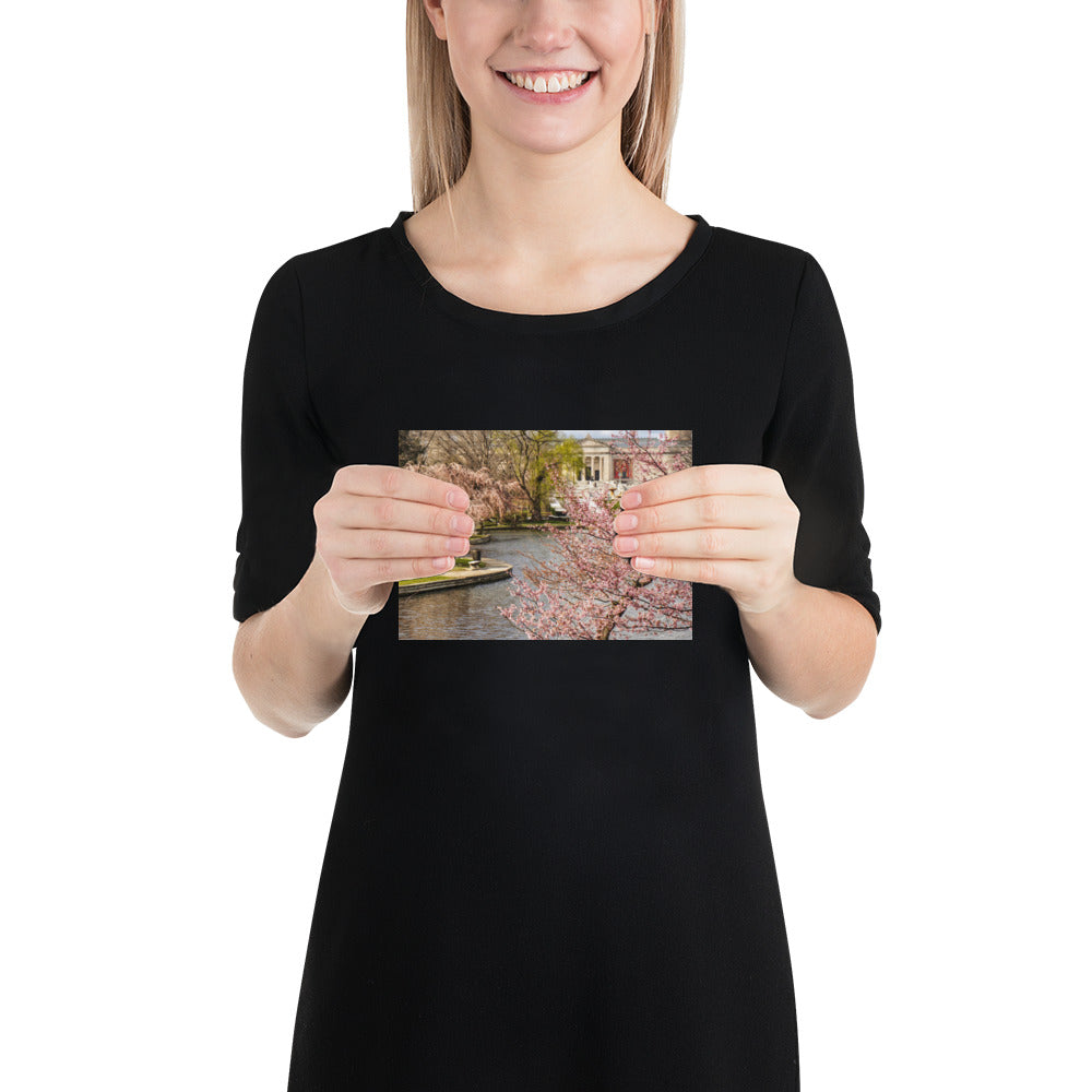 Cherry Blossoms Trees Photo Cleveland Museum of Art Image Wade Lagoon Spring Print