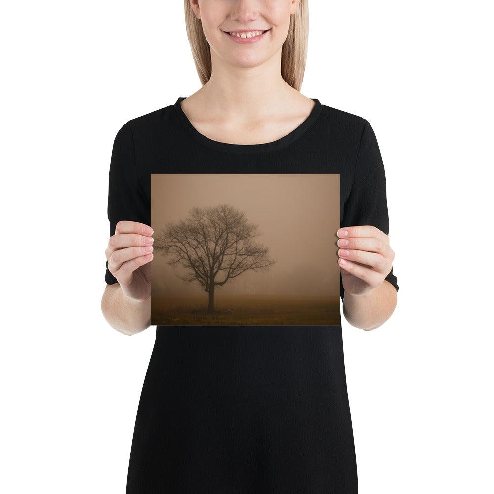 Foggy Photo of Tree in Cleveland Metroparks - Hinckley Ohio Print Gift