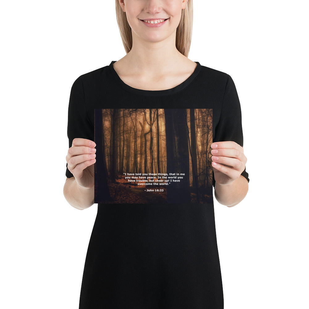 Jesus Bible Verse Photo Wall Decor Art Print John 16:33 Image