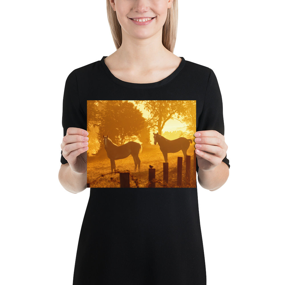 Amish Country Photo Horses Ohio Farm Image Berlin Ohio Picture