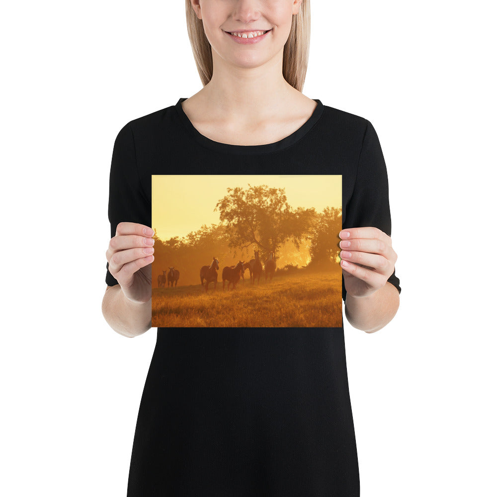 Amish Photos Ohio Farm Horses Sunrise Image