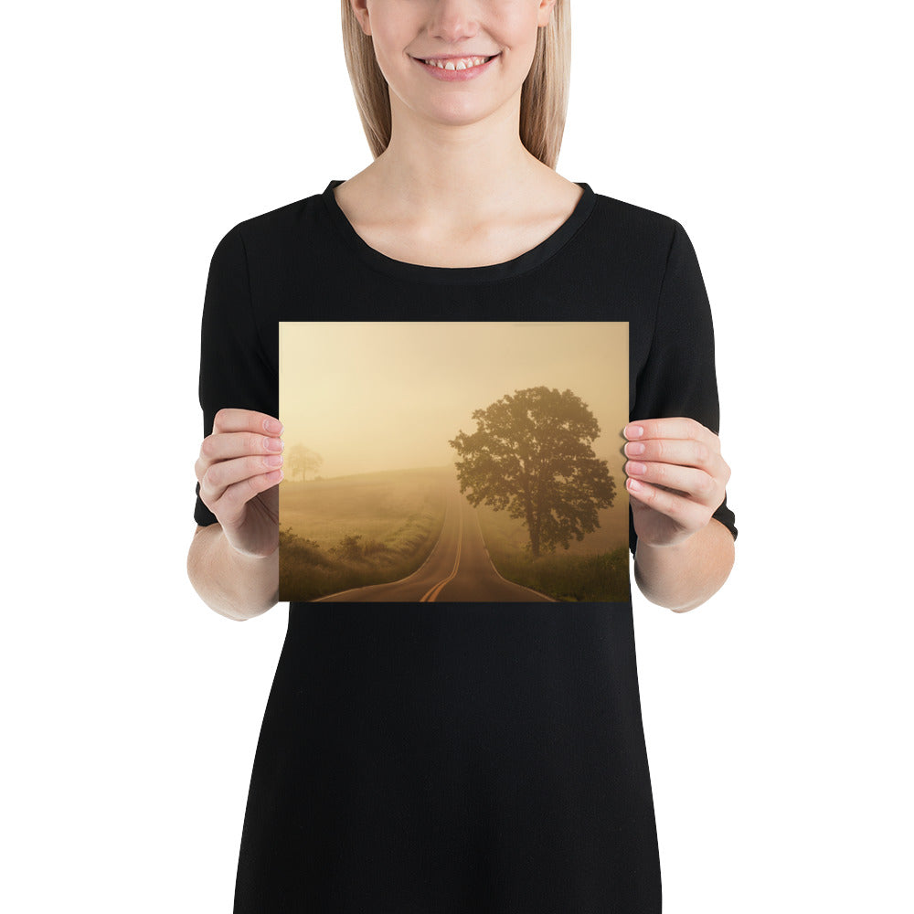 Amish Photo Ohio Trees and Hills Sunrise Image