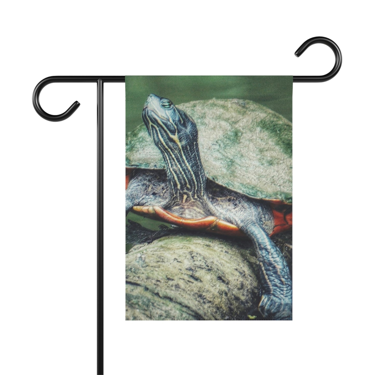 Turtle Enjoying the Sun