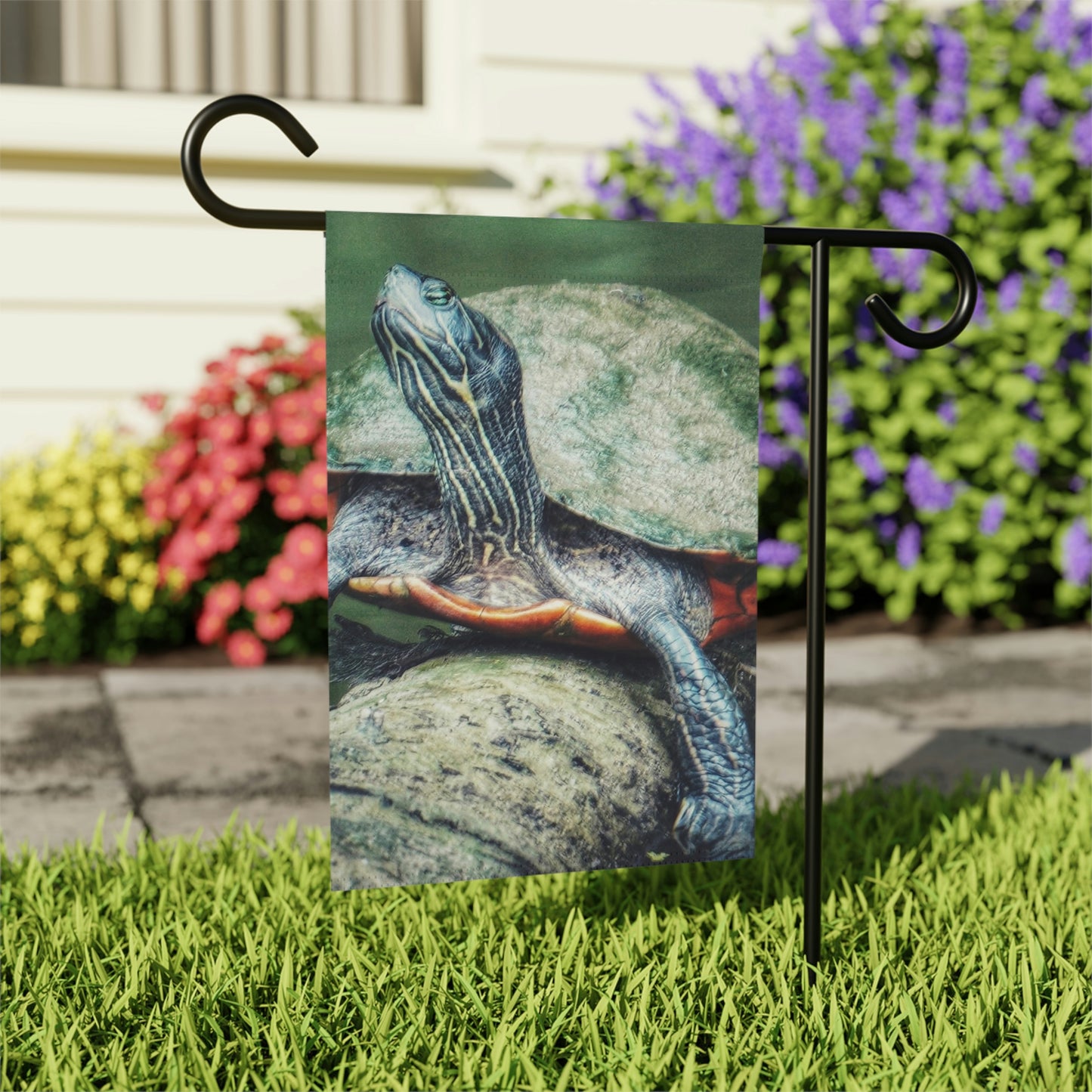 Turtle Enjoying the Sun