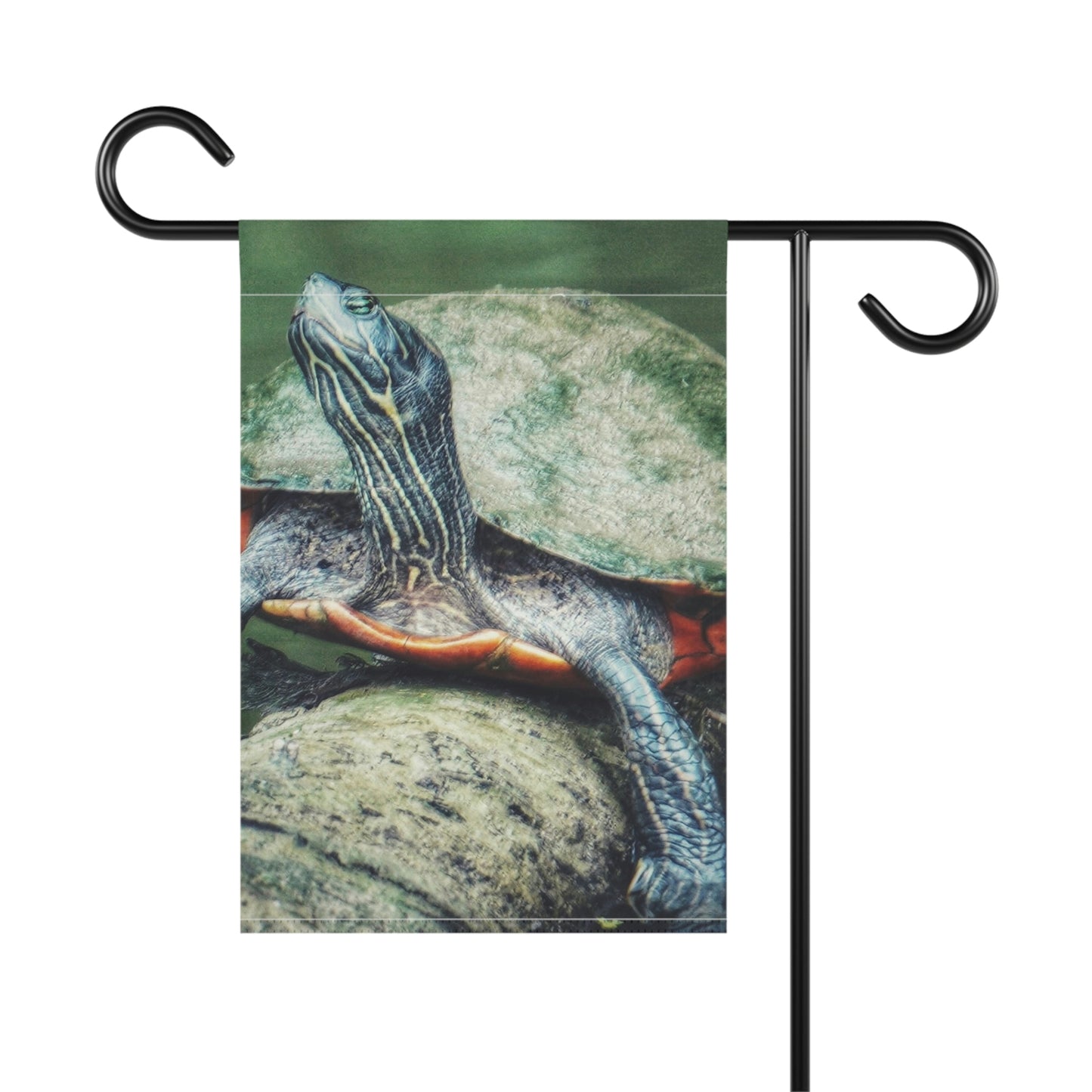 Turtle Enjoying the Sun