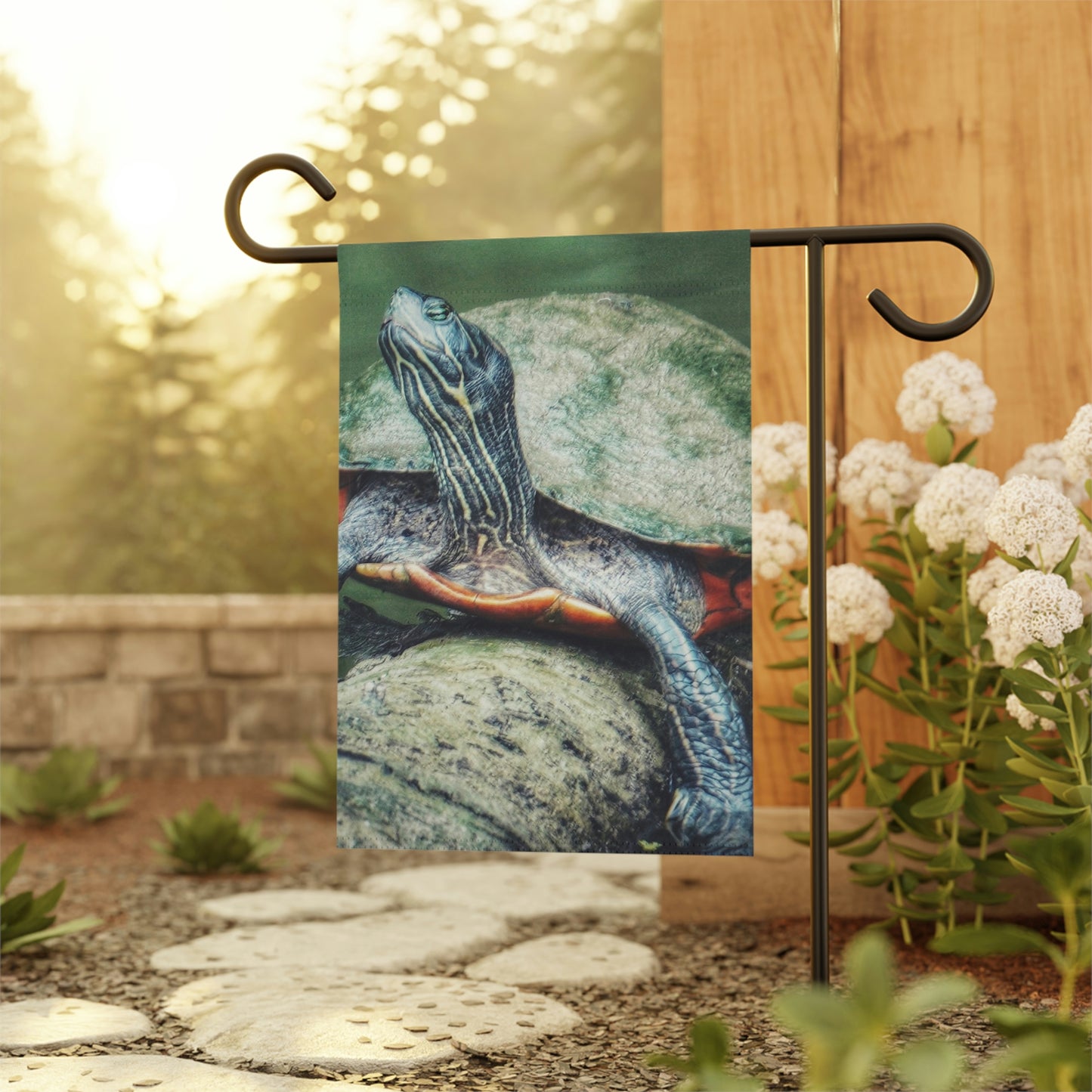 Turtle Enjoying the Sun