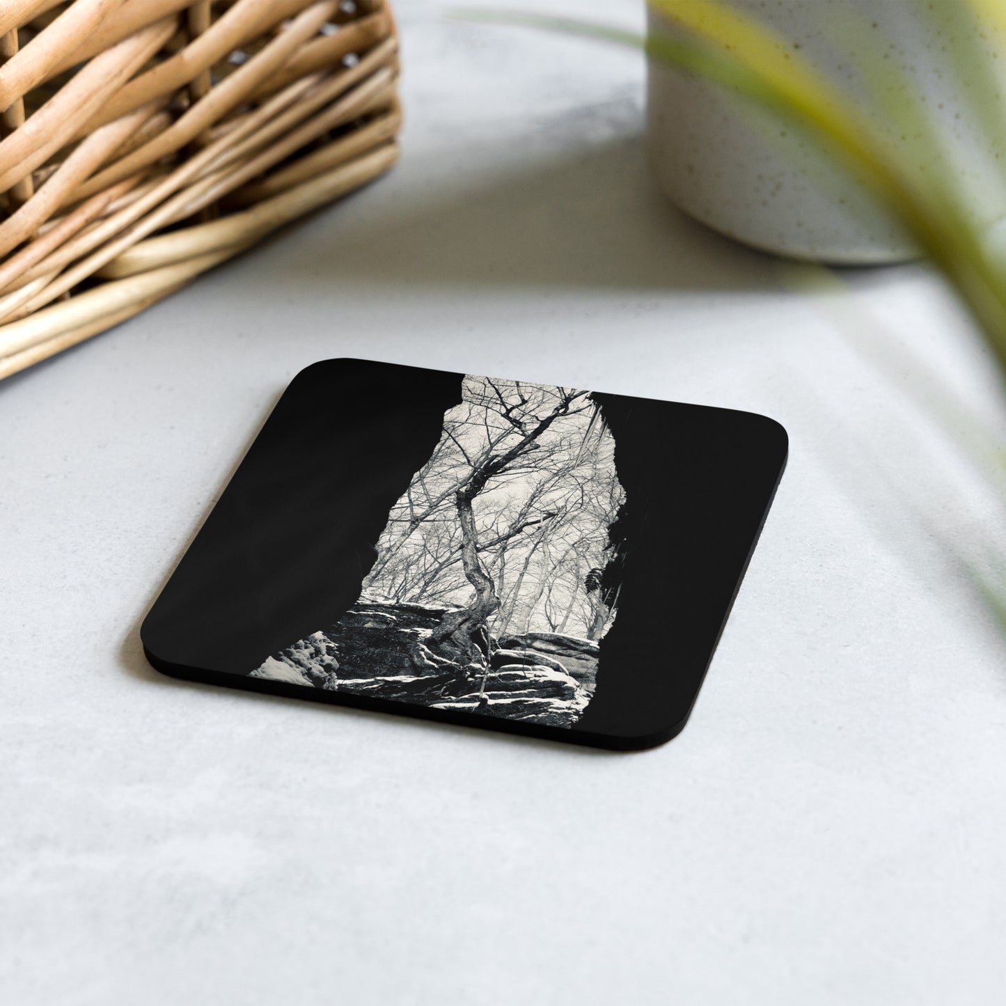 Nelsons Ledges Ohio Cave Photo Coaster