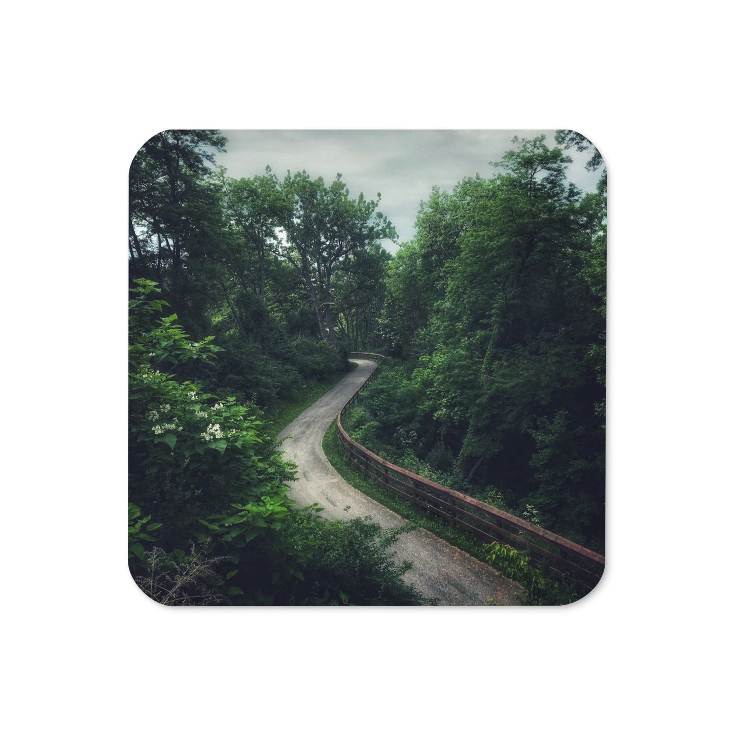 Forest Pathway Coaster