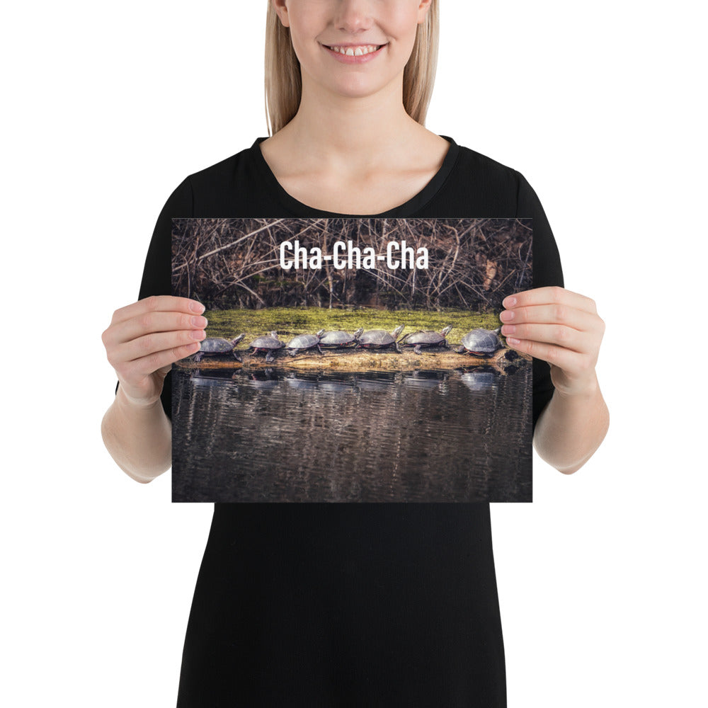 Funny 7 Turtle Cha-Cha-Cha Poster