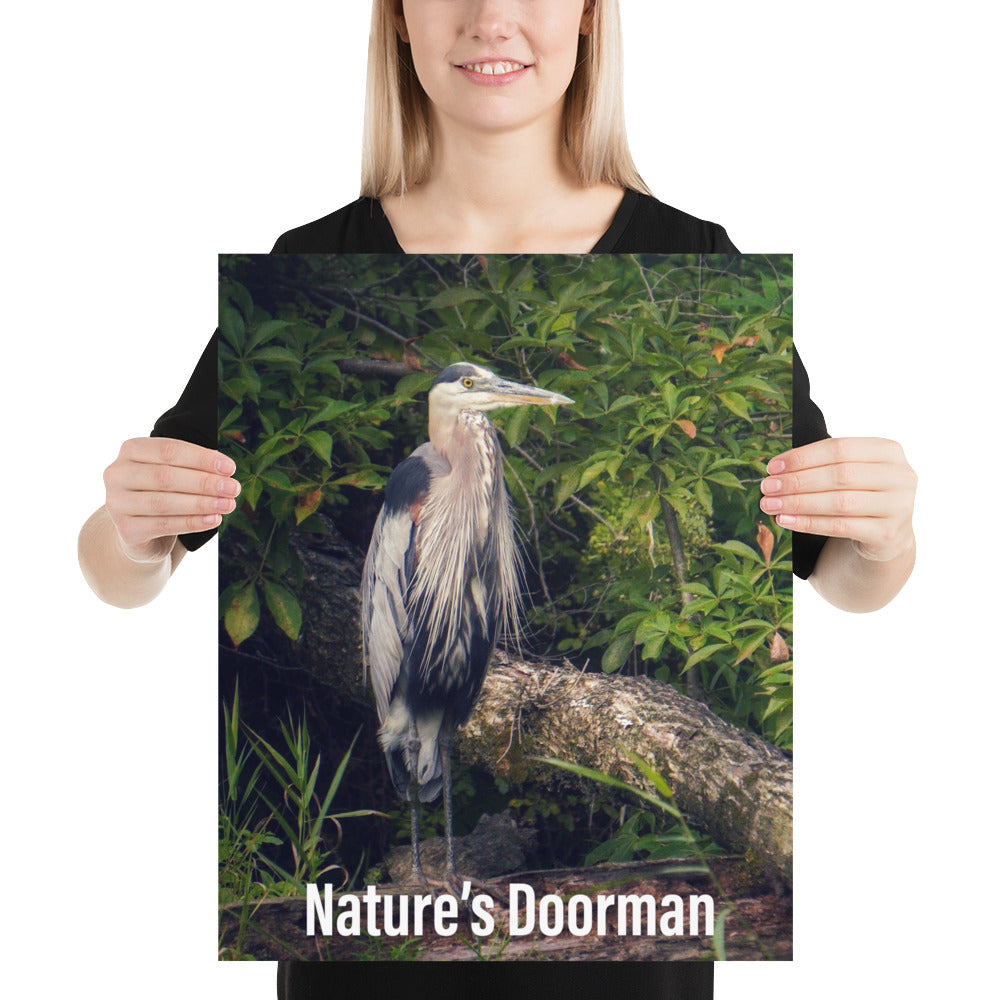 Funny Blue Heron Doorman Poster
