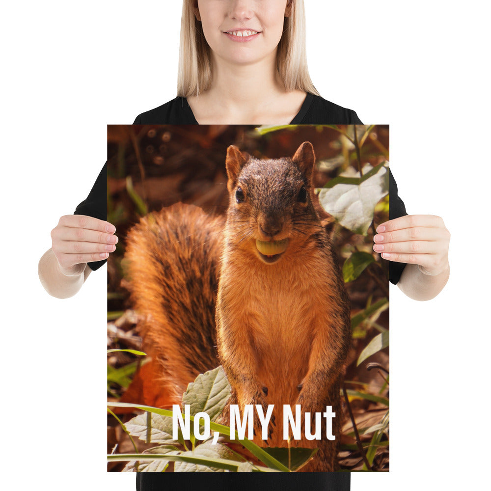 Funny Squirrel Poster