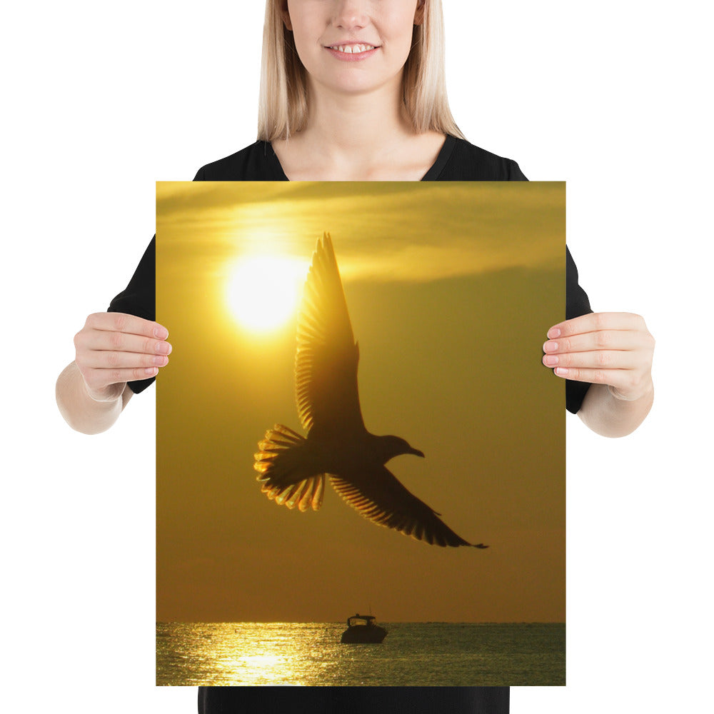Kelleys Island Sunset Photo Seagull on Lake Erie Ohio