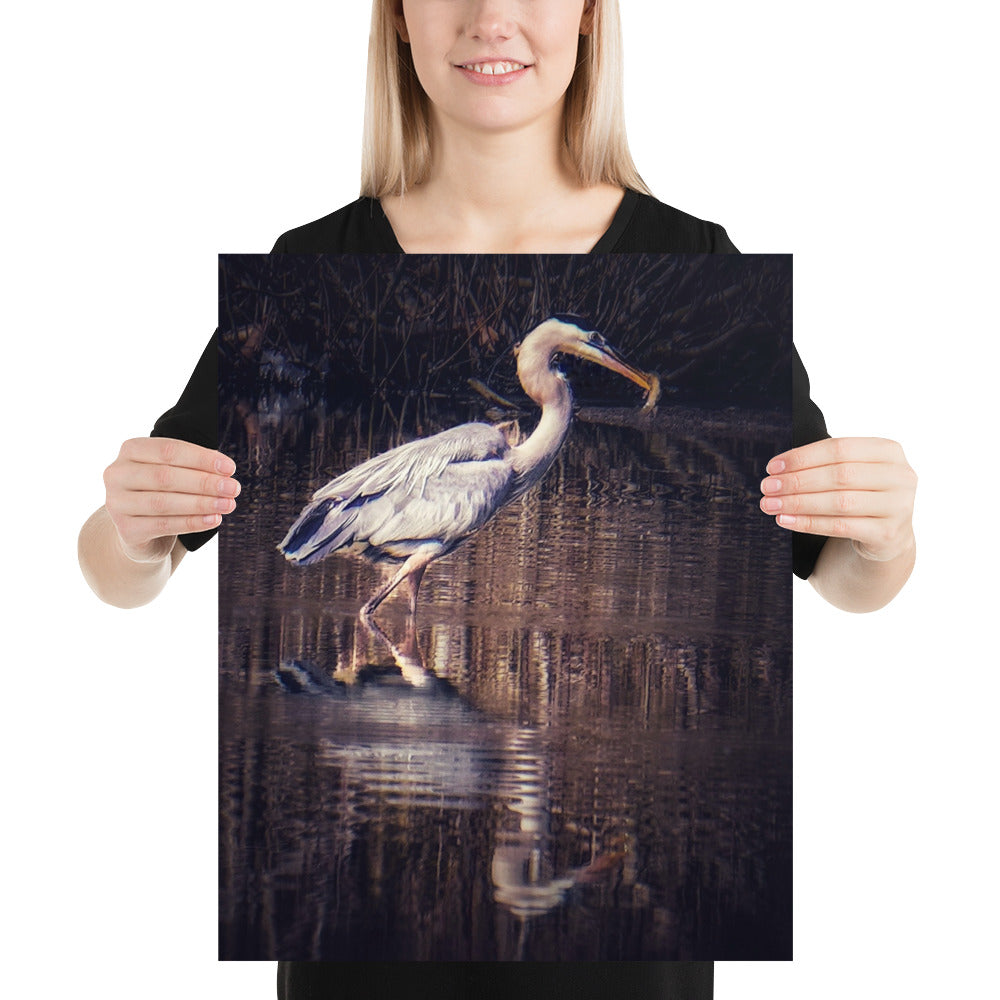 Heron Reflection Print