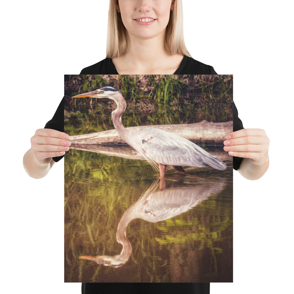 Heron Reflection Print