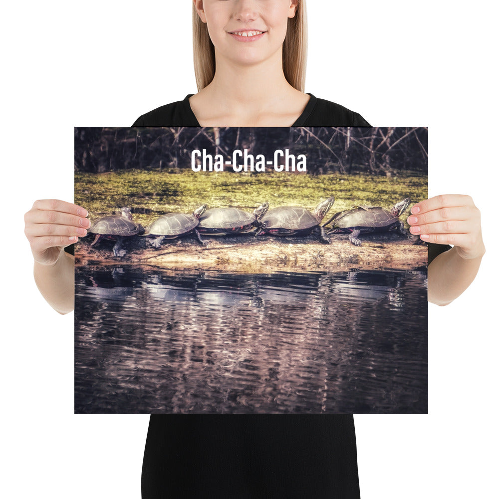 Funny 5 Turtle Cha-Cha-Cha Print