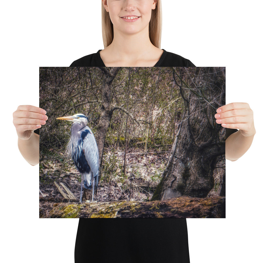 Heron on a Log Print