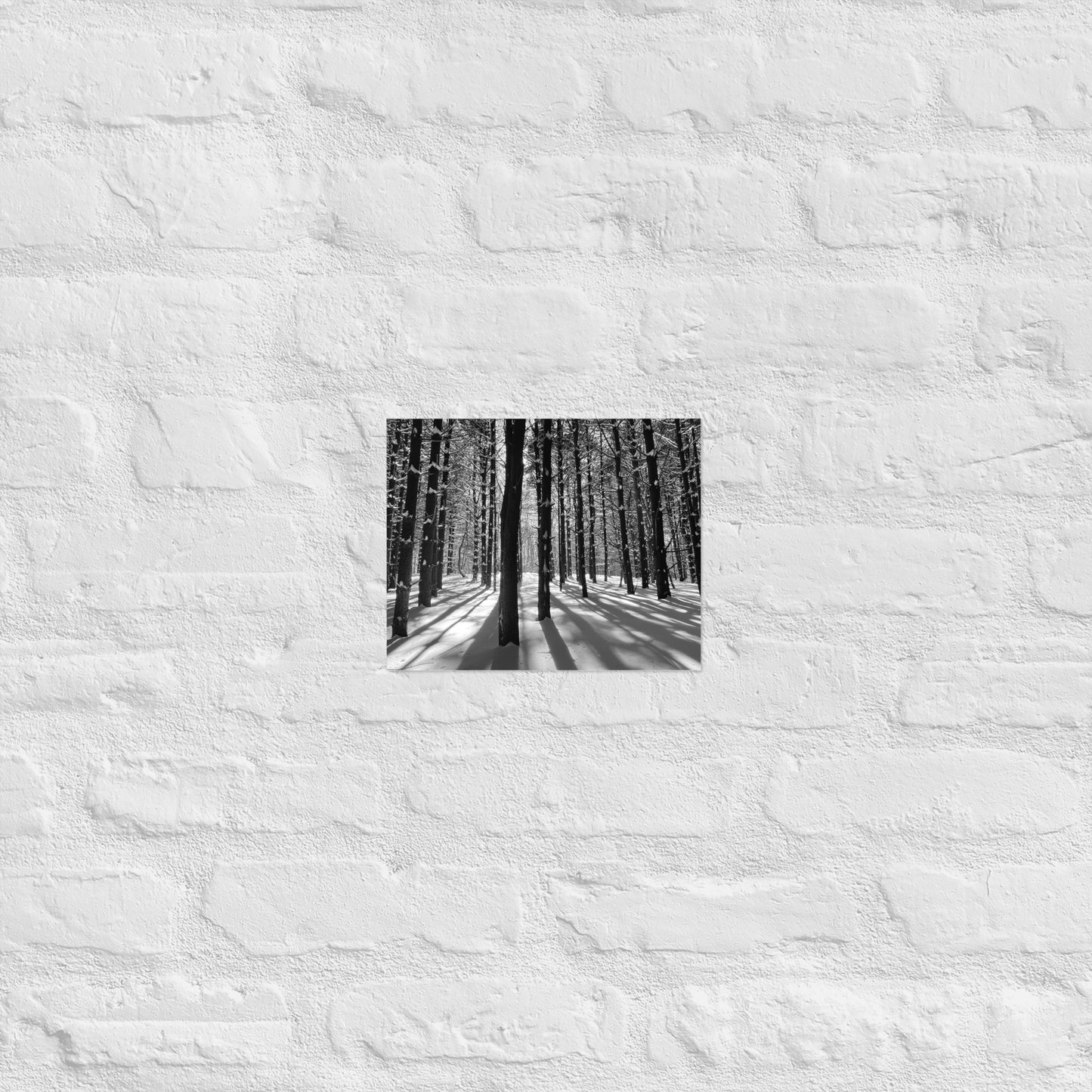 Snowy Forest Print