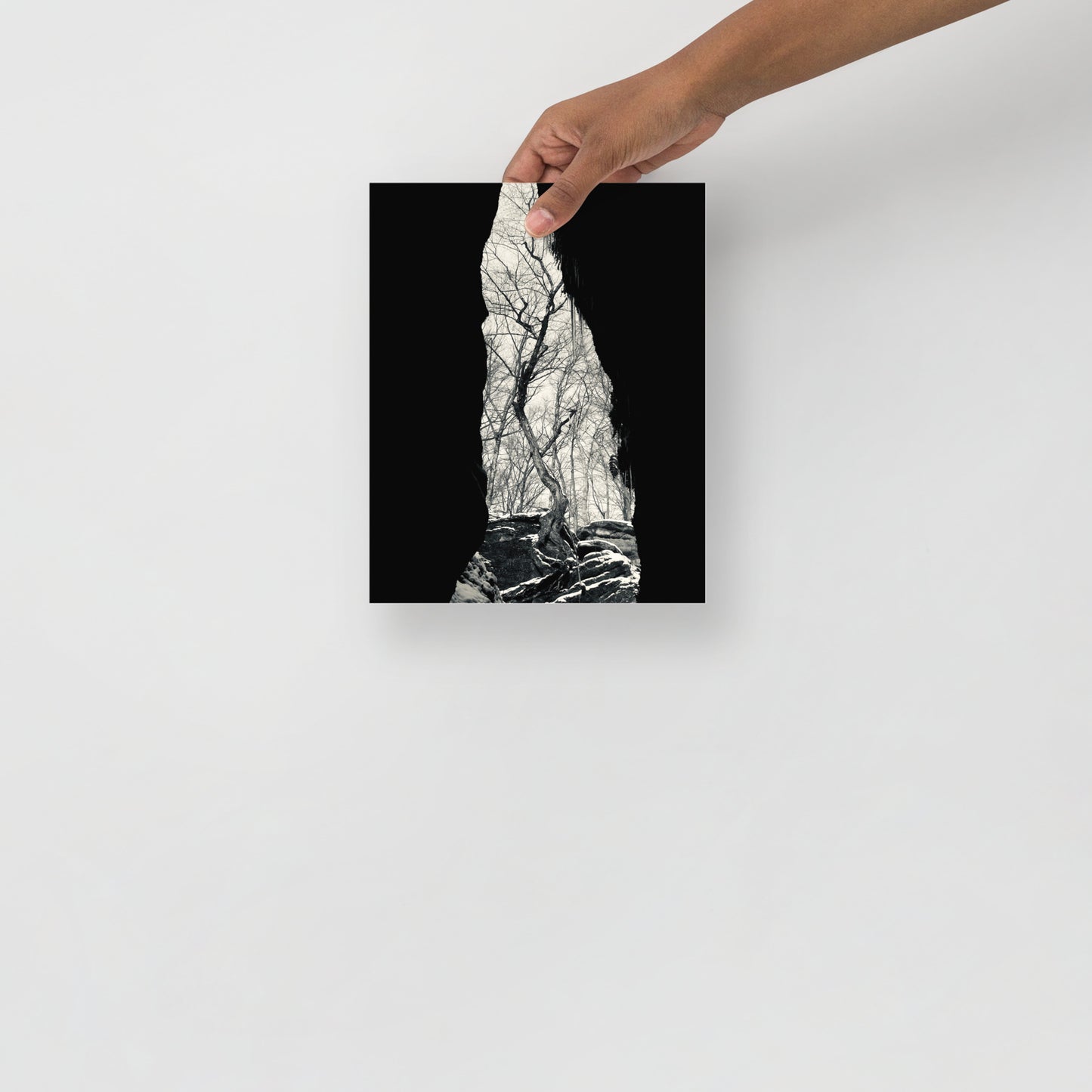 Forest Cave Print (Black and White)