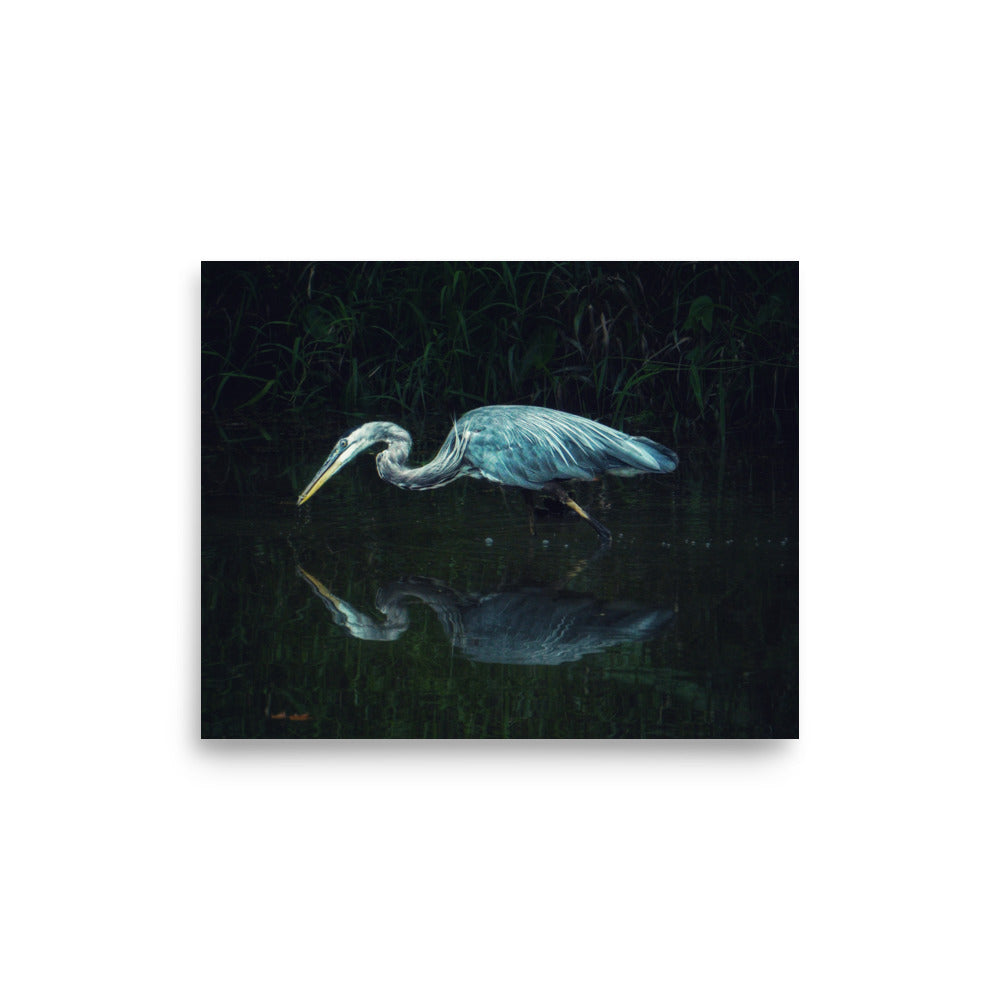 Heron in a Lake Print