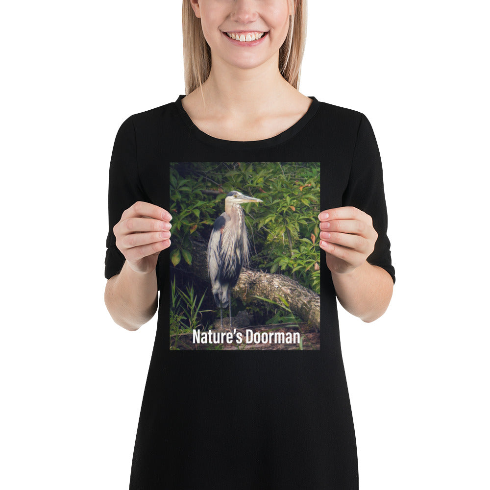 Funny Blue Heron Doorman Poster