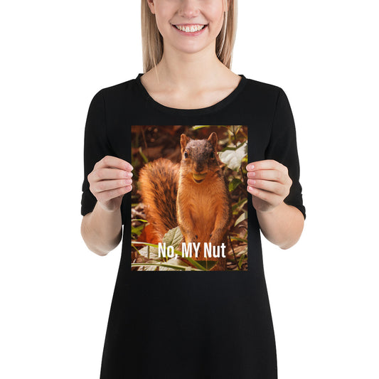 Funny Squirrel Poster