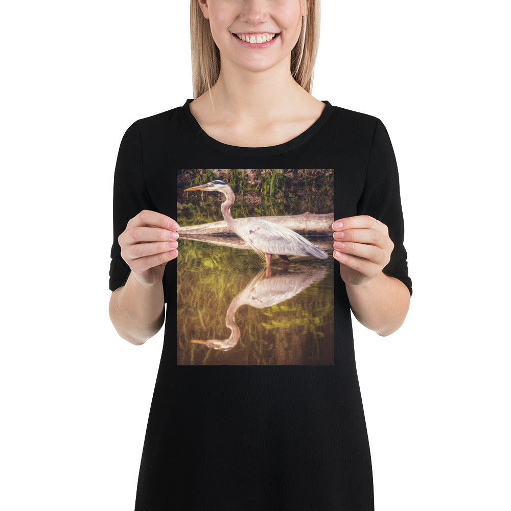 Heron Reflection Print
